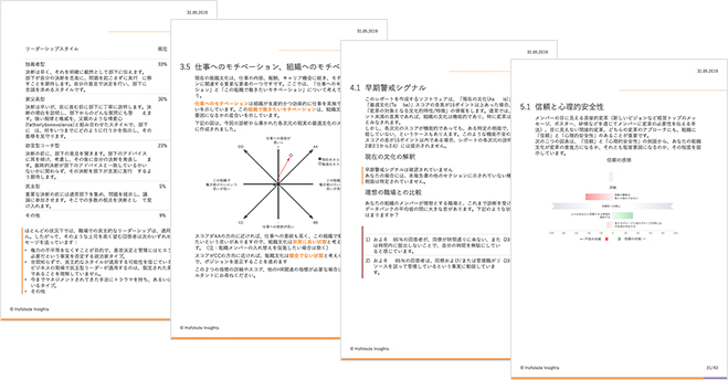 診断レポートサンプル